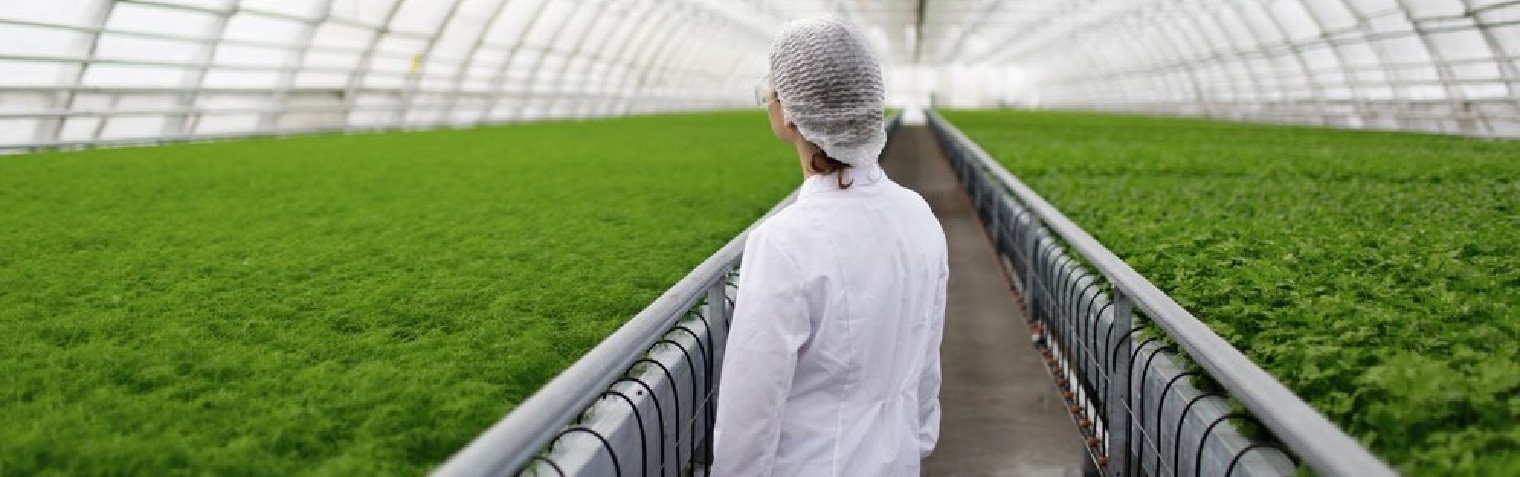 瓦力游戏| 首页 -瓦力出品,必属精品